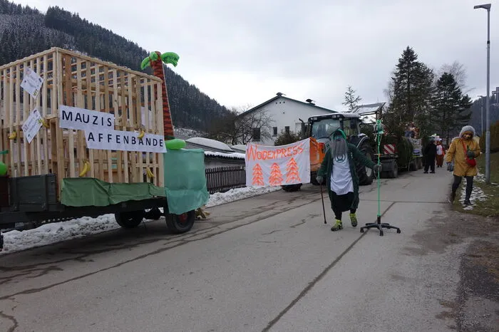 Weitere Bilder vom Faschingsumzug in der Veitsch...