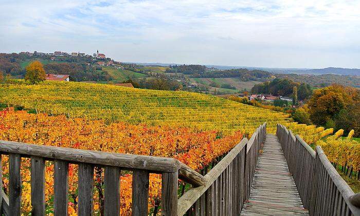 Der Weinweg der Sinne in St. Anna