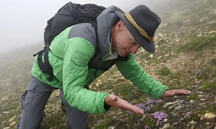 Der Geotrail „Tauernfenster“ wird auch mit Führung durch einen Ranger angeboten