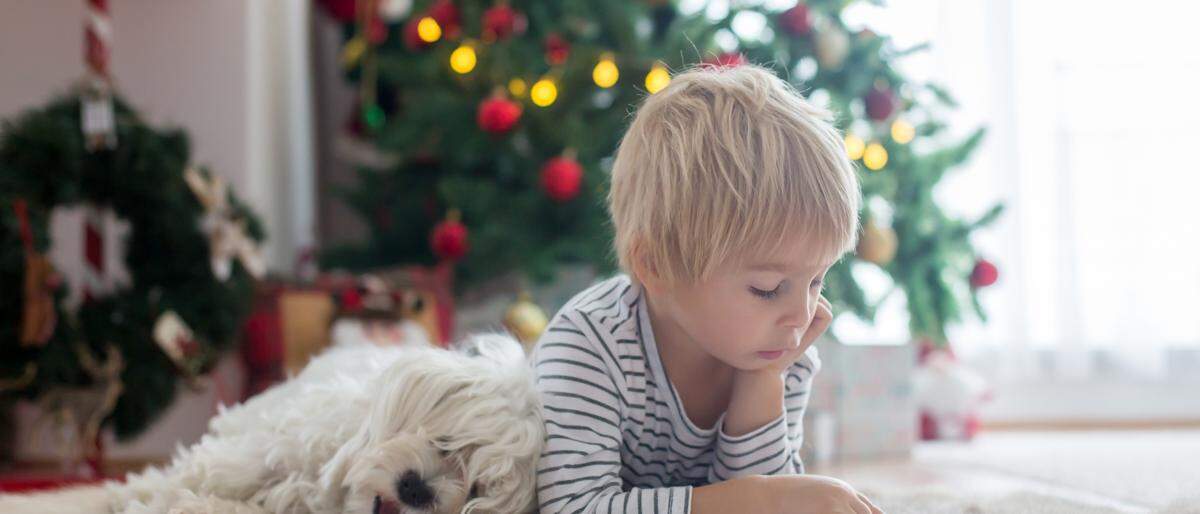 Wenn Ruhe einkehrt: Weihnachtszeit ist Lesezeit | Wenn Ruhe einkehrt: Weihnachtszeit ist Lesezeit