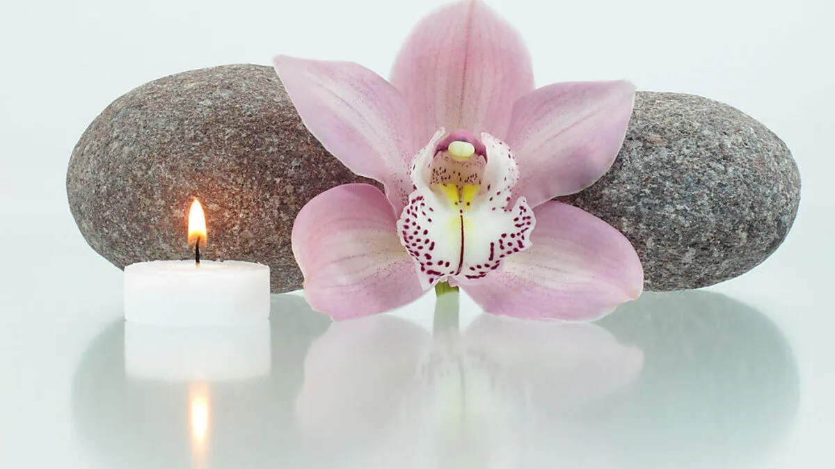 Kinesiologie befragt den Körper, der mit dem Geist verbunden ist und tiefe Wahrheit besitzt