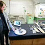 Die Knochen des Dinosauriers werden eingescannt