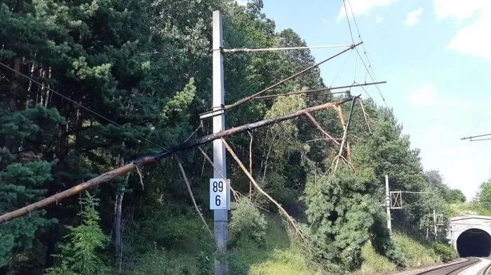 Ein brennender Baum hat die Oberleitung zwischen Eichberg und Breitenstein beschädigt