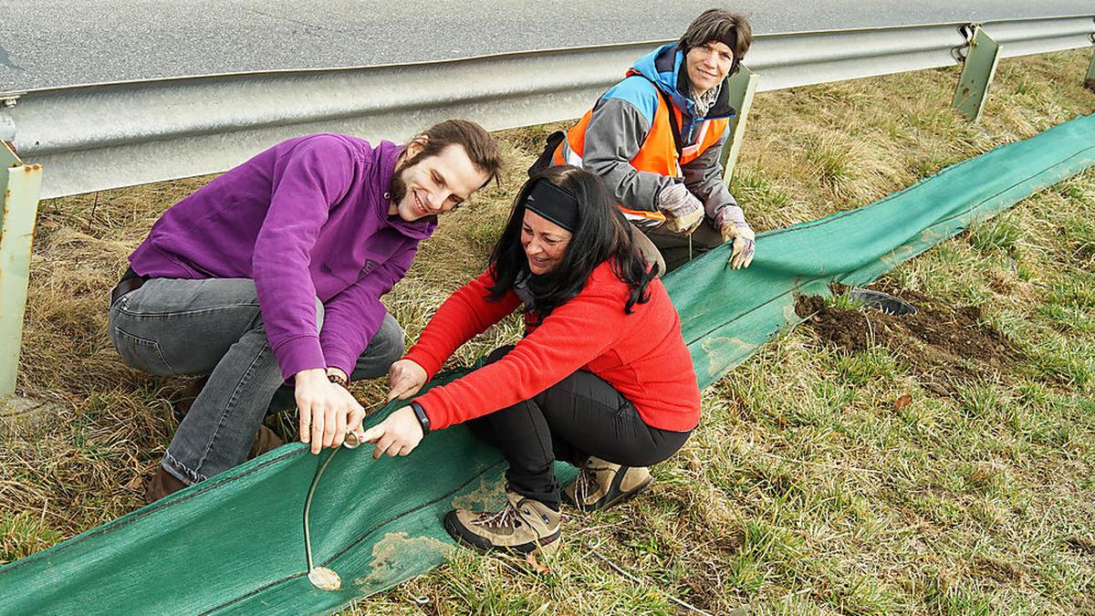 Die ehrenamtlichen Helfer Johannes Steiner-Mair und Petra Drescher mit Karina Smole-Wiener vom Arge Naturschutz beim Aufbau des Zaunes