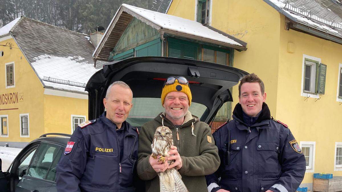 Der Bussard wurde schließlich bei der Adlerwarte Landskron abgegeben