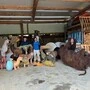 Gerald Hinteregger (l.) und sein Kollege Daniel Gomboc mit den Tierfiguren