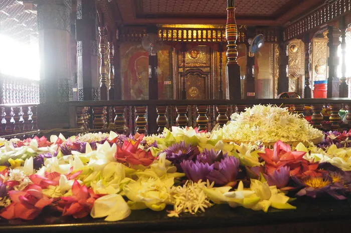 Gläubige bringen in den Tempeln Blumenopfer dar: Nur spezielle Blumen werden geopfert - darunter Seerosen, Lotus, Jasmin und Frangipani, die duftenden Blüten des Tempelbaums.