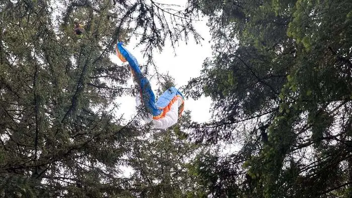 Das Bild zeigt den verfangenen Gleitschirm in dem Baum