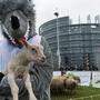 Schäfer protestierten bereits in Brüssel gegen den Schutz des Wolfes