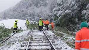 15 bis 20 Zentimeter dicke Bäume stürzten in Rosental auf die Bahnstrecke der GKB