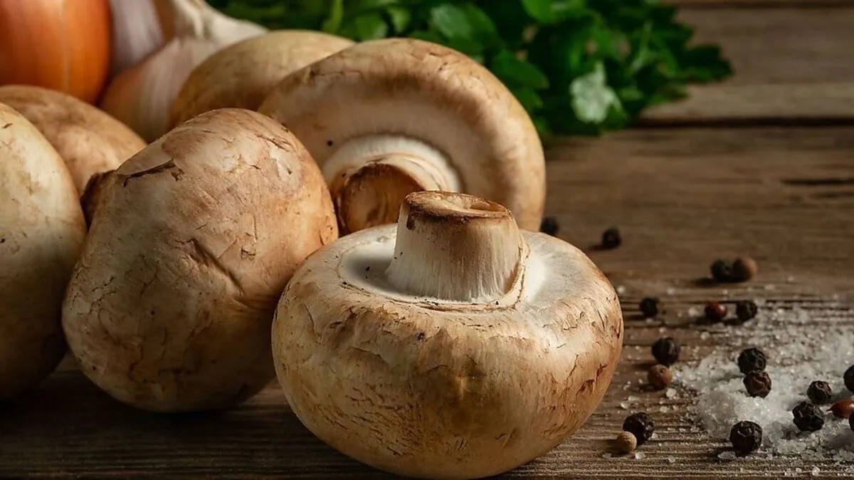 Herzhafte Kreation aus Frankreich