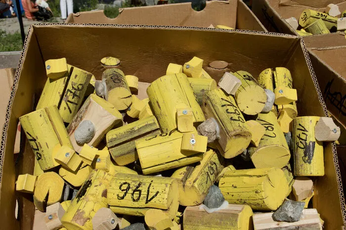 Sponsoren und Private konnten die nummerierten Holzentchen kaufen und ins Rennen schicken.