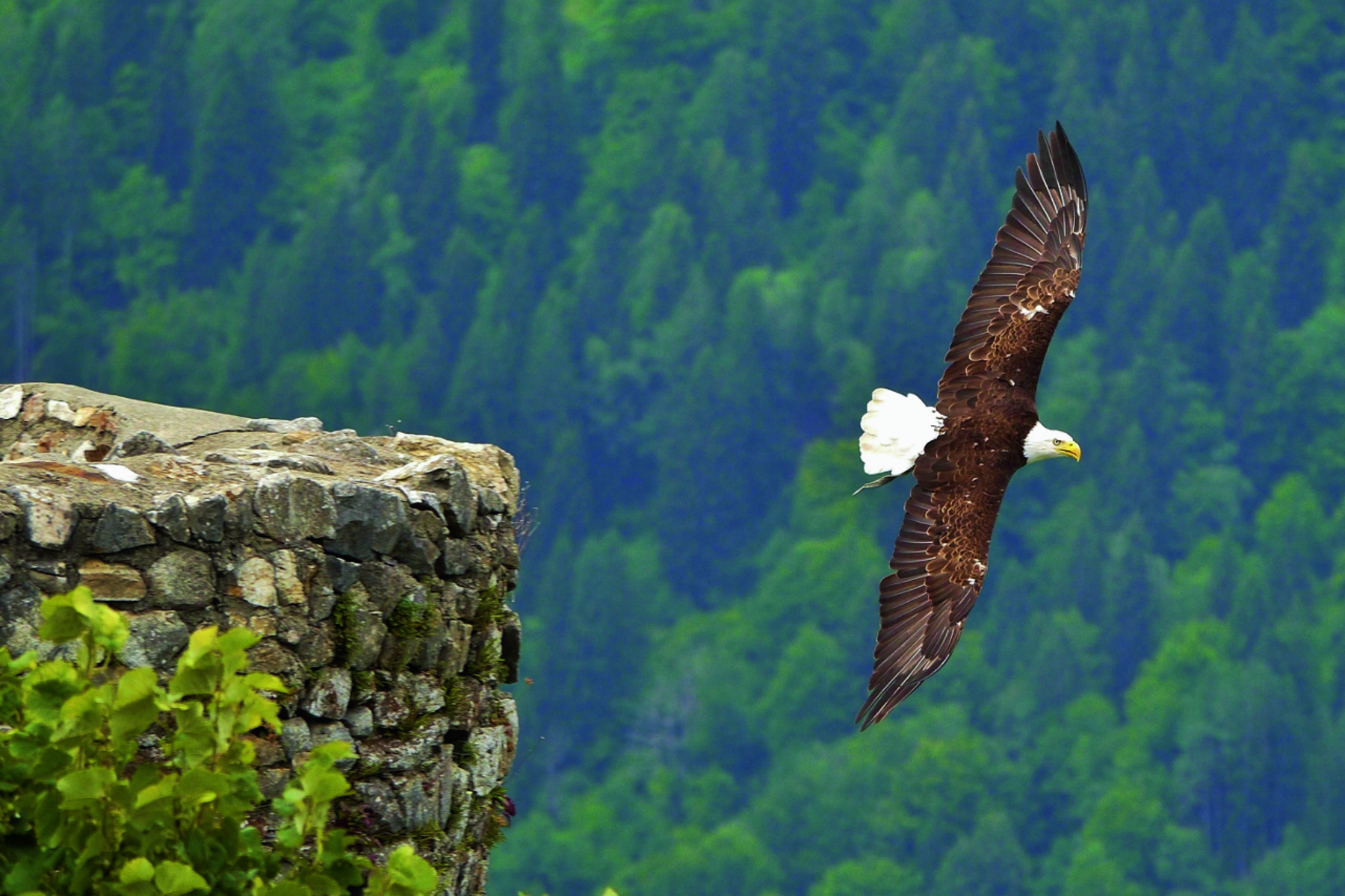 Kärnten Card: Hinaus in die Natur