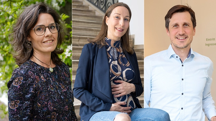 Andrea Ehn, Sabrina Krobath, Michael Rettl