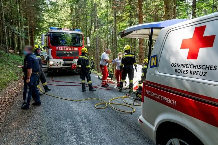 Der Lenker musste schwer verletzt ins Spital in Wiener Neustadt eingeliefert werden.