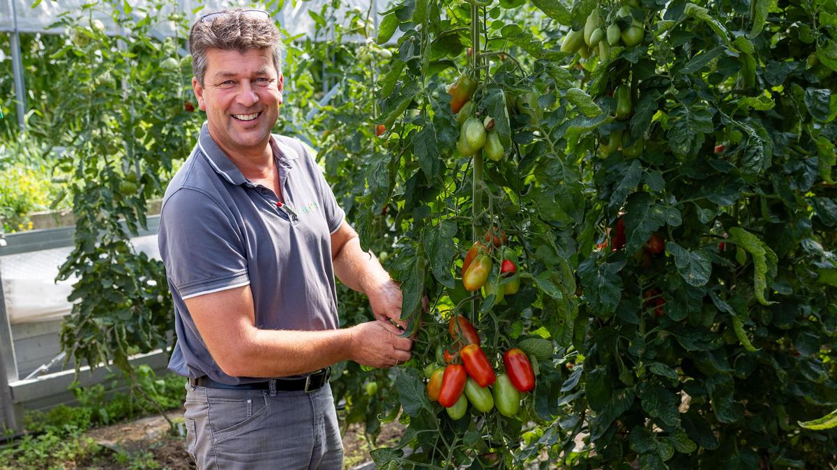 Andreas Hafner baut in Moosburg rund zehn verschiedene Tomatensorten an. Ein Teil davon kommt in den „Tomati to go“-