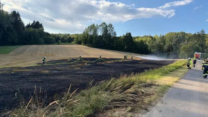 Insgesamt drei Feuerwehren waren rund zwei Stunden im Einsatz, um den Feld- und Wiesenbrand in Nestelbach bei Ilz unter Kontrolle zu bekommen