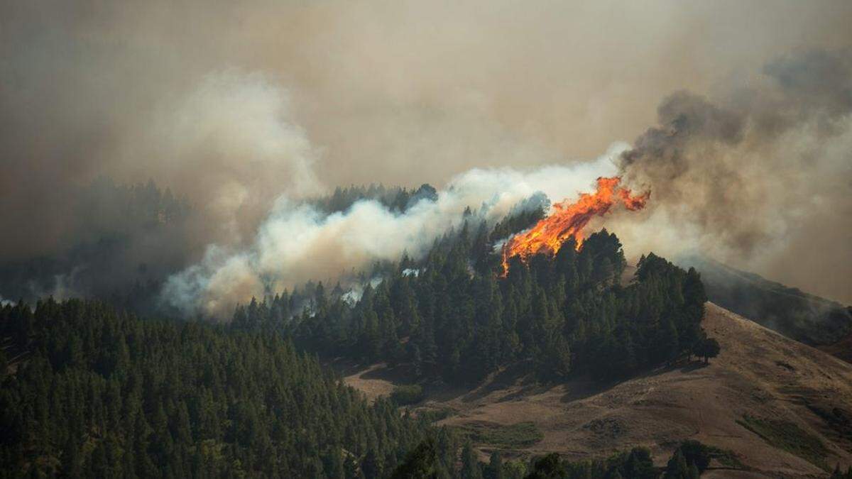 Waldbrand auf Gran Canaria außer Kontrolle geraten