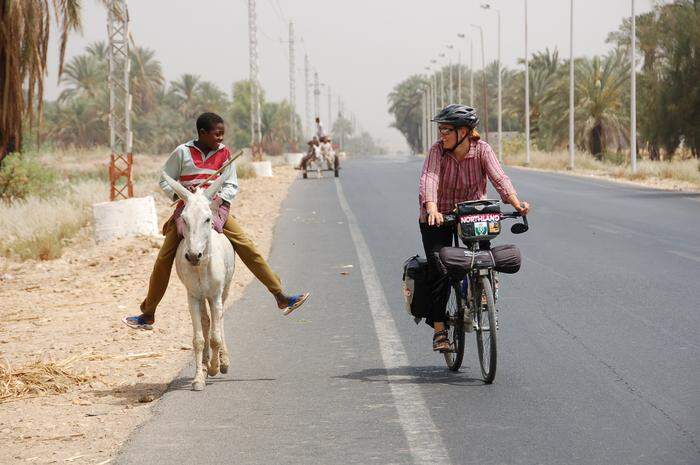 Nördlich von Assuan, Ägypten: Ein Esel ist langsamer als ein Drahtesel
„15,6 km/h war die Durchschnittsgeschwindigkeit auf 5 1/2 Jahren Weltreise“