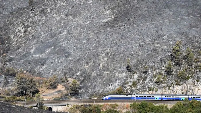 Aufgrund der verheerenden Waldbrände mussten Ende Juli in Südfrankreich rund 10.000 Menschen ihre Häuser und Unterkünfte verlassen.