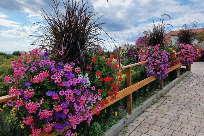 Fünf Floras für die Pension Luisenheim GmbH, Familie Raith u. Egger, Laßnitzhöhe