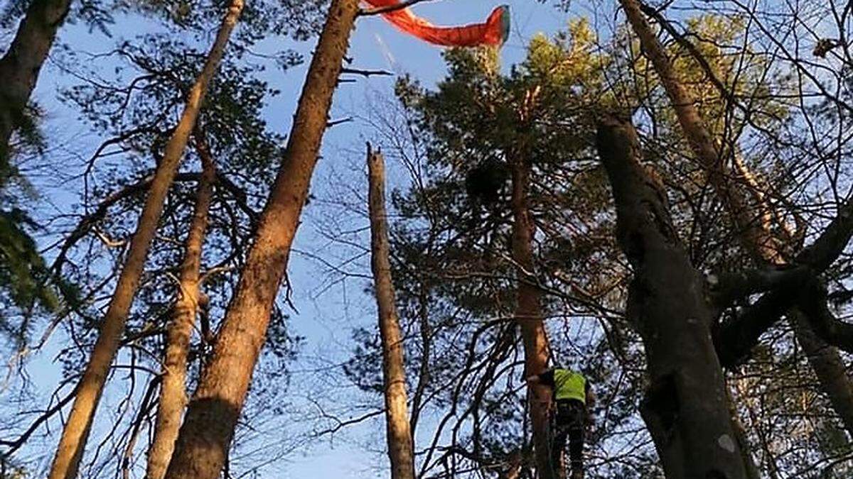 Die Bergrettung Klagenfurt barg einen Paragleiter-Piloten aus 15 Metern Höhe