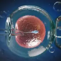 In-vitro-Fertilisation ist längst keine Ausnahme mehr. Aber was, wenn das gesamte Genom eines Embryos gescannt wird ehe man sich für das „beste Baby“ entscheidet?