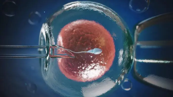 In-vitro-Fertilisation ist längst keine Ausnahme mehr. Aber was, wenn das gesamte Genom eines Embryos gescannt wird ehe man sich für das „beste Baby“ entscheidet?