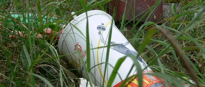 Ein Papierbecher mit Strohhalm liegt im Gras