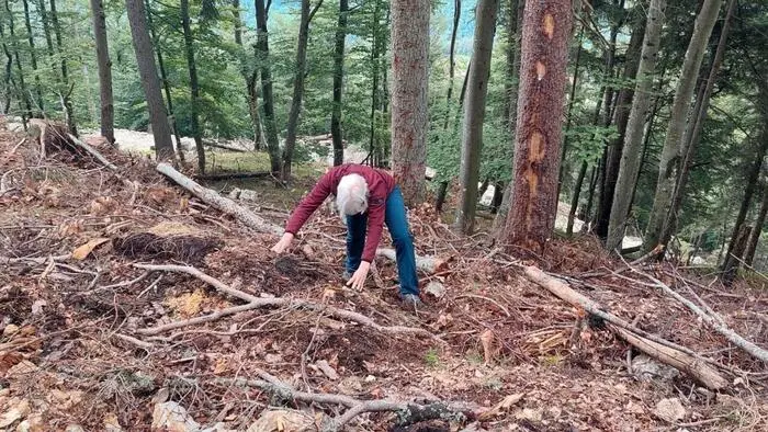 Eine Person mit grauen Haaren in unwegsamen Gelände