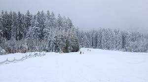 Das Dreiländereck ist seit jeher ein beliebtes Skigebiet für Familien