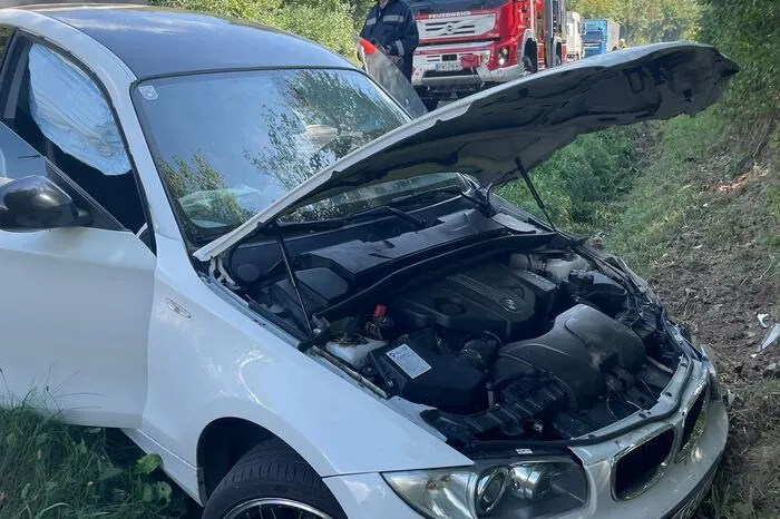 Er fuhr über die Gegenfahrbahn und stürzte mit seinem Fahrzeug in den Straßengraben. Dabei wurde er unbestimmten Grades verletzt und vom Roten Kreuz ins Krankenhaus gebracht.