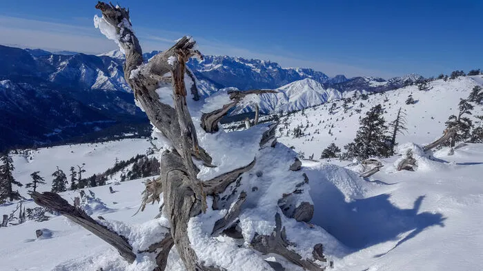Schneestürme um schroffe Berggipfel und einsame Inseln im glitzernden Mittelmeer.