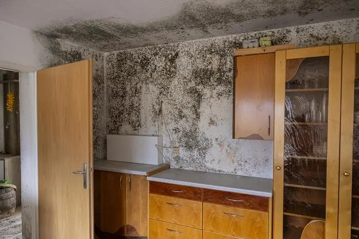 Hangrutschung Goritschach Jänner 2024