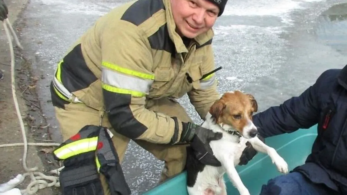 Die Berufsfeuerwehr rettet den Hund