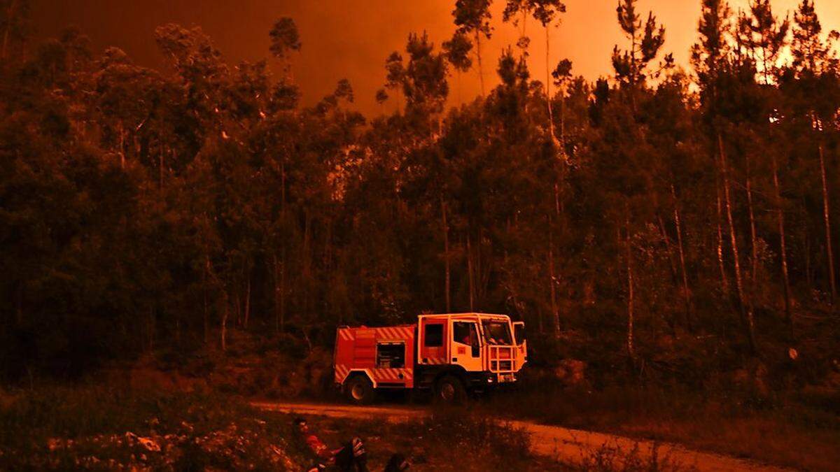 Zu dem verheerenden Waldbrand war es vermutlich wegen eines Blitzes gekommen