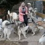 Chiara Polanz mit ihrem Huskyrudel