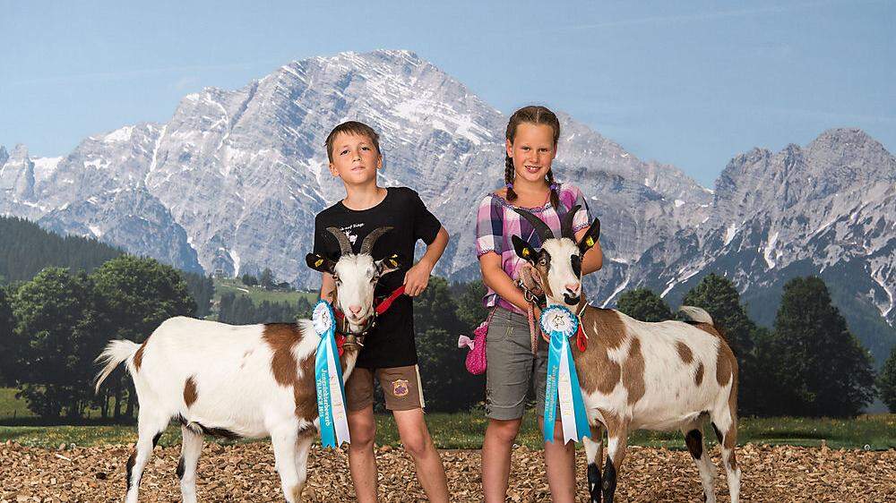Kinder und Jugendliche präsentieren ihre Ziegen, wie hier die Steirische Scheckenziege 