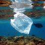 30 Millionen Tonnen Plastik landet jährlich in den Weltmeeren 