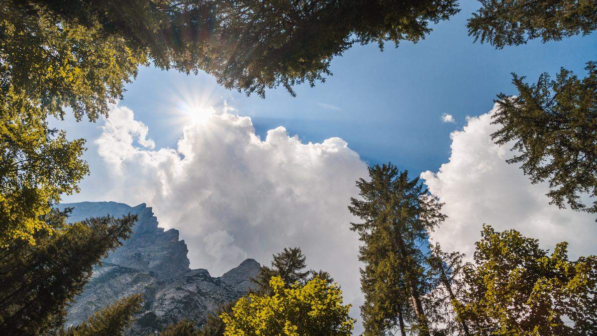 Die Sonne sollte sich spätestens ab Montag wieder öfter zeigen