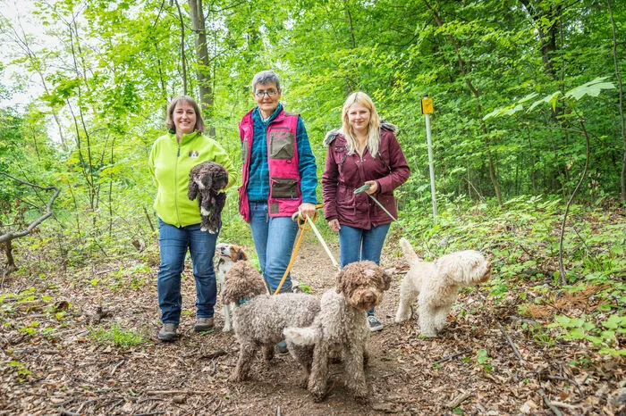 Klicken Sie sich durch die weiteren Bilder der Grazer Trüffelhunde ...