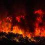 An der Algarve wüten seit Tagen Waldbrände
