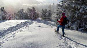 Am Wochenende kündigt sich Neuschnee an. Beste Bedingungen für eine winterlicher Wanderung