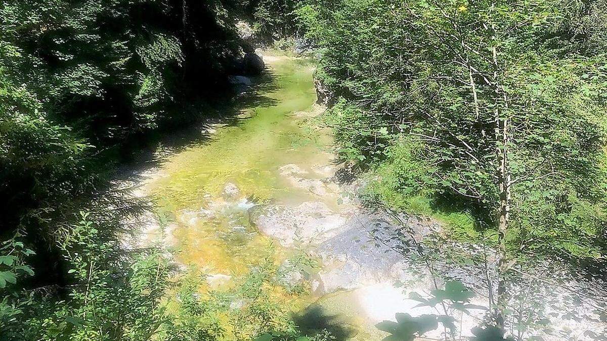 Das wildromantische Weißenbachtal in Oberösterreich