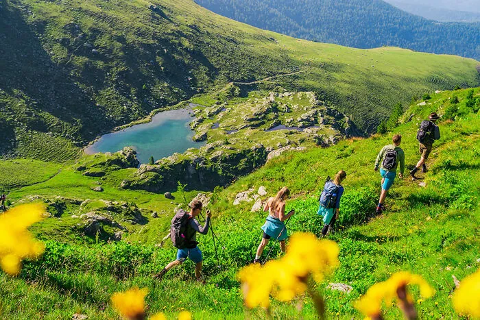 Almwandern auf der Turracher Höhe: Die vielleicht schönste Form der Bewegung in der Natur
