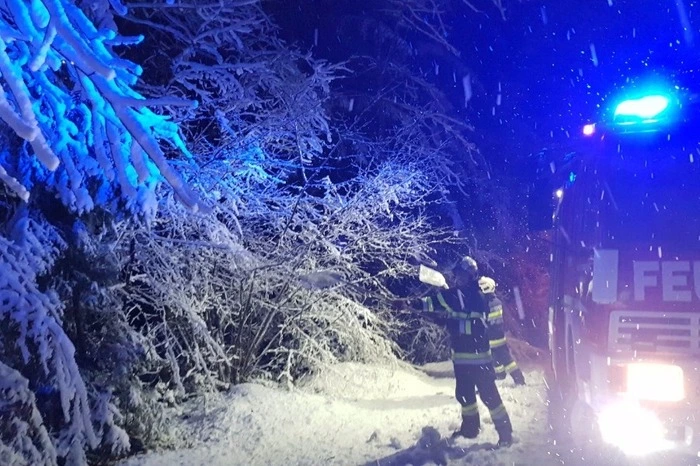 Mit Schaufeln und Feuerpatschen wurden Bäume vom Schnee befreit.