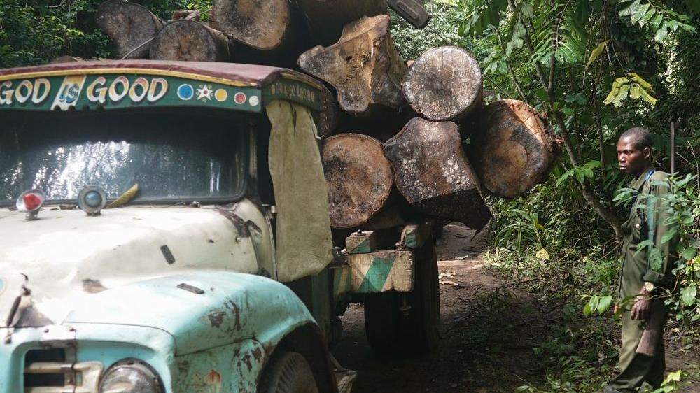 Cargill wird auch für das Abholzen von Regenwald verantwortlich gemacht