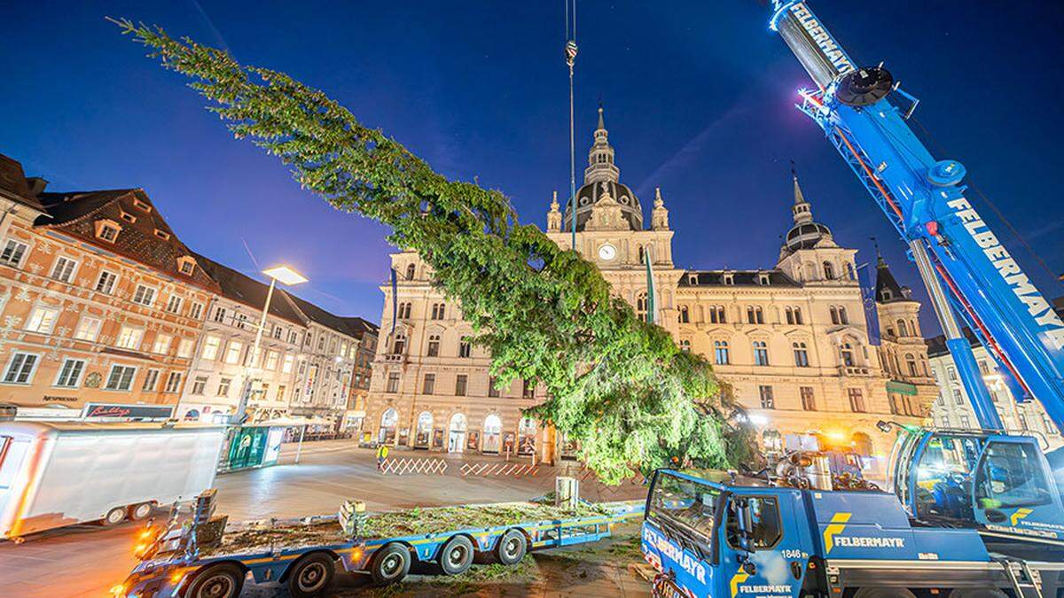 Am Montagfrüh wurde der Christbaum am Grazer Hauptplatz aufgestellt