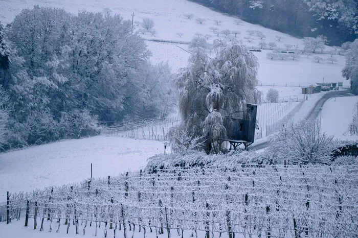 ...das andere Mal ein Bild von der Winterlandschaft.