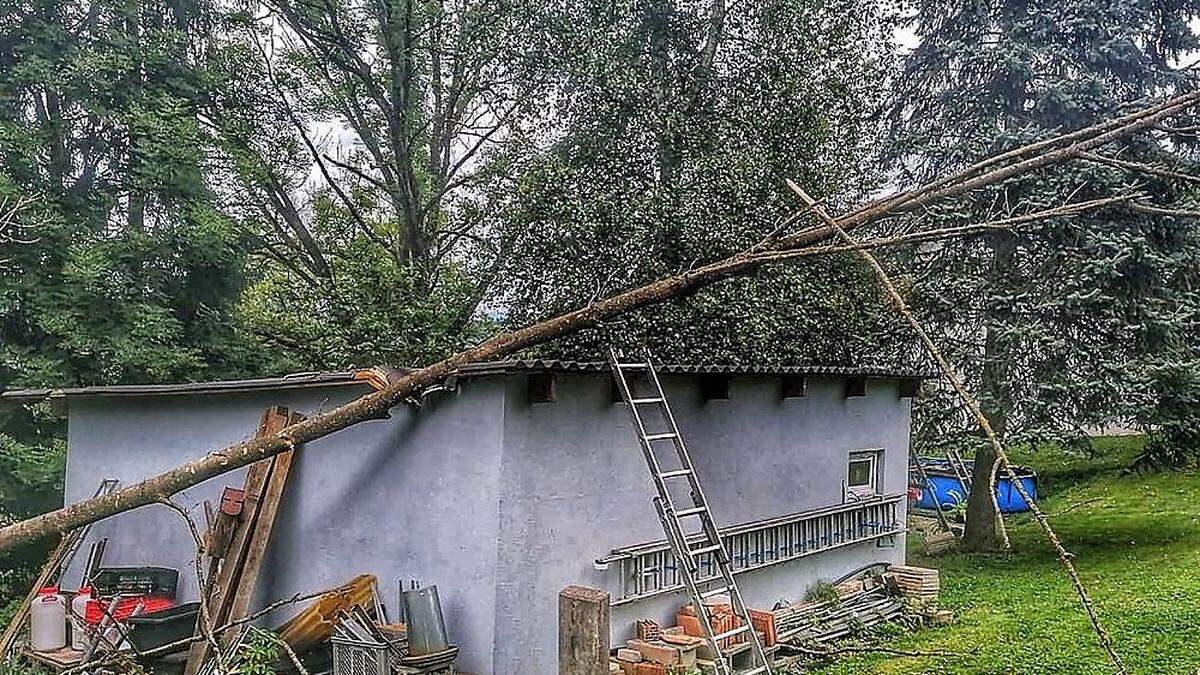 Der Baum war auf ein Lagerdach gestürzt